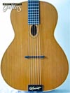 Photo Reference used acoustic left hand guitar D'Ambrosio Custom Gypsy Jazz 2013