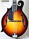 Sale left hand new mandolin Eastman MD615 Sunburst No.253